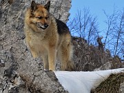 CORNAGERA e POIETO innevati ad anello da Aviatico (21febb21) - FOTOGALLERY